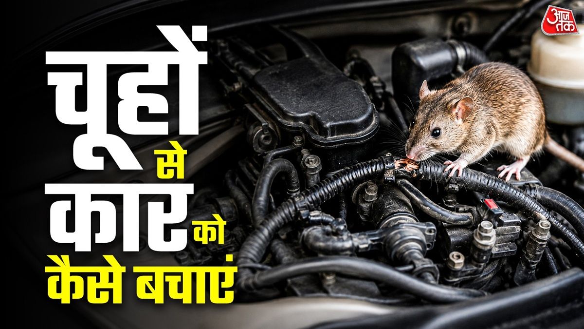 कार में चूहे प्रवेश रोकें: विशेषज्ञ सुझाव और प्रभावी उपाय